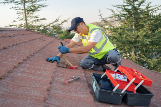 Professional Roofing Contractor in Welsh, LA